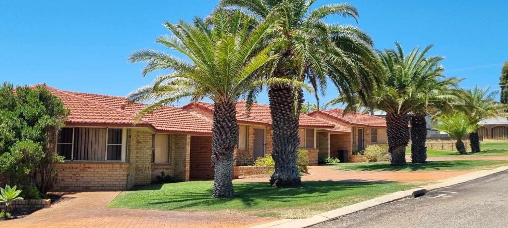Row of palm-fringed brick villas at Kalbarri Holiday Villas on a sunny day