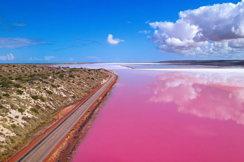 Aerial view of Port Gregory’s Pink Lake alongside a winding road under a blue sky with fluffy clouds.