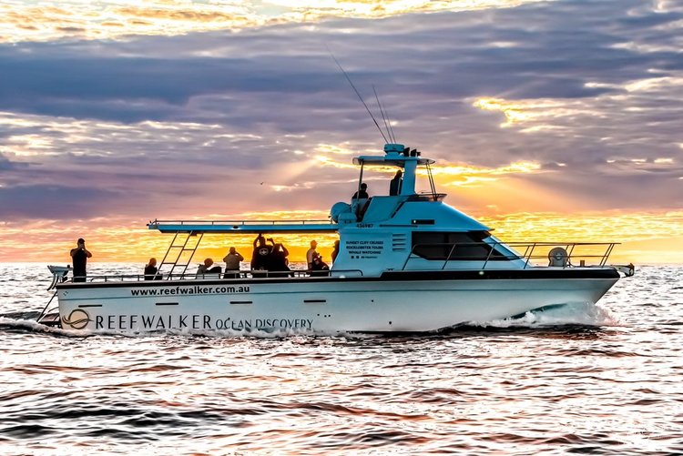 Tour boat Reefwalker Ocean Discovery cruising at sunset in Kalbarri, Western Australia